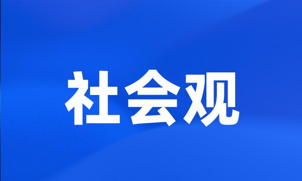 社会观