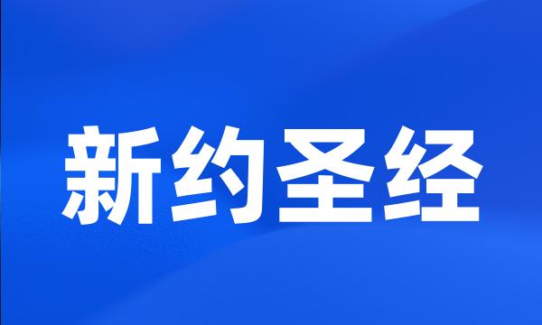 新约圣经