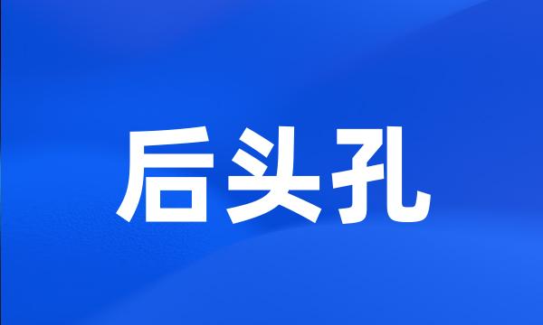 后头孔