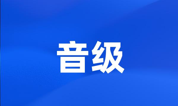 音级