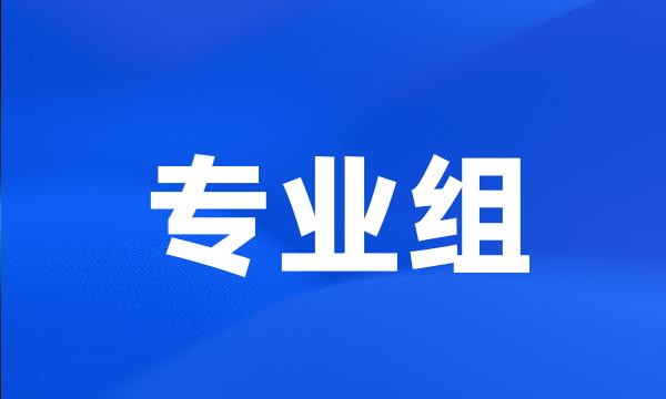 专业组