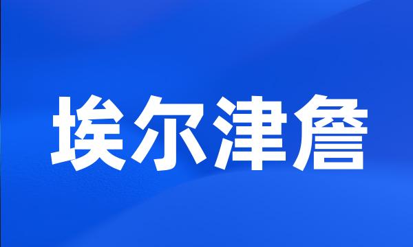 埃尔津詹