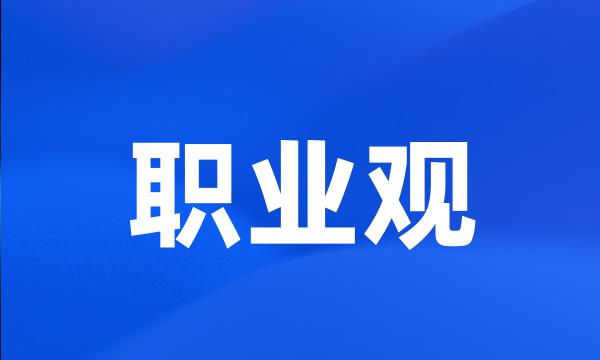 职业观