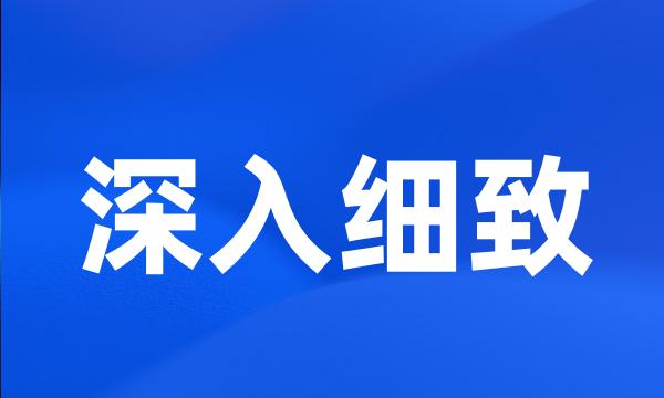 深入细致