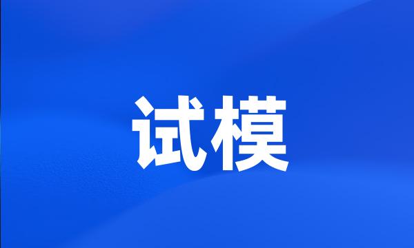 试模