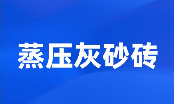 蒸压灰砂砖