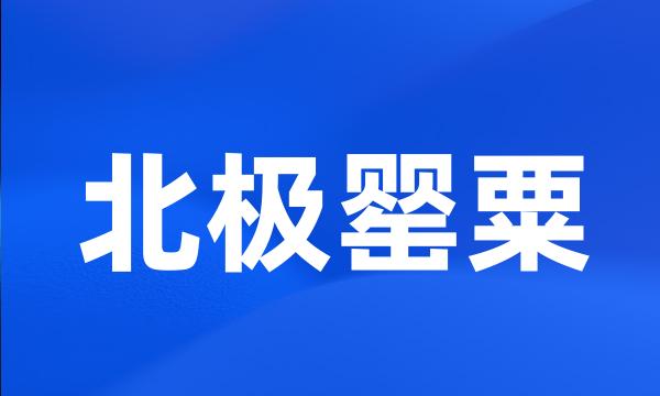 北极罂粟