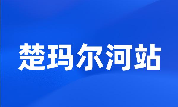 楚玛尔河站