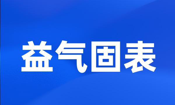 益气固表