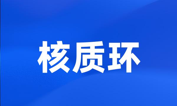 核质环