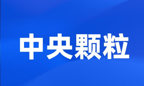 中央颗粒