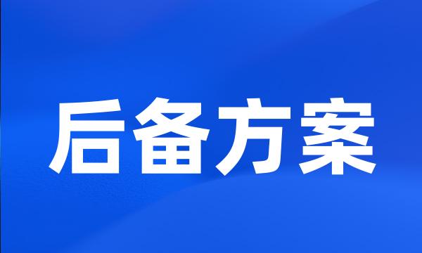 后备方案