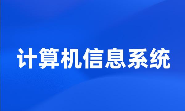 计算机信息系统