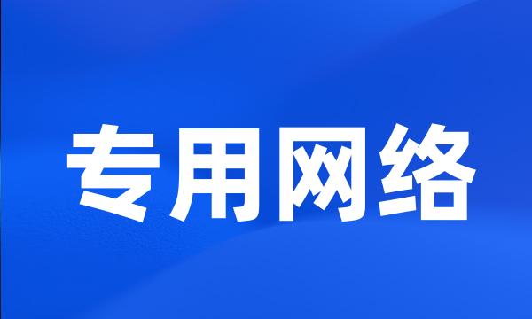 专用网络