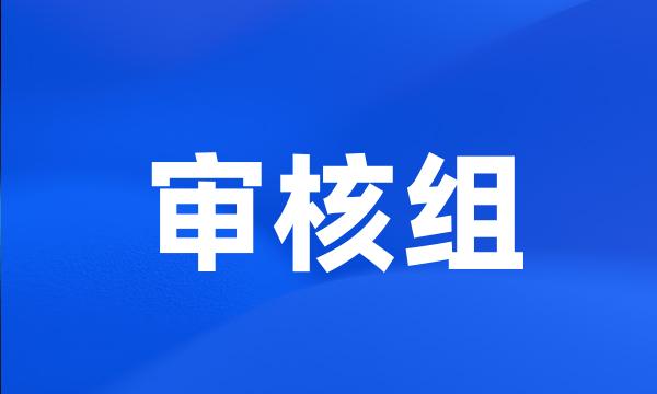 审核组