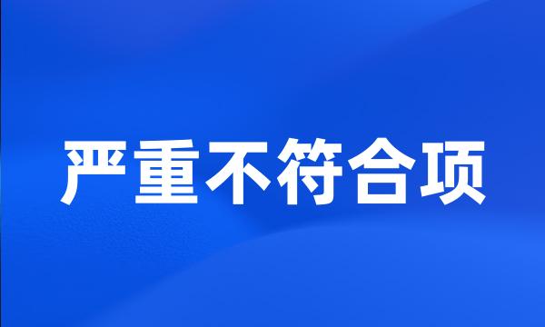 严重不符合项