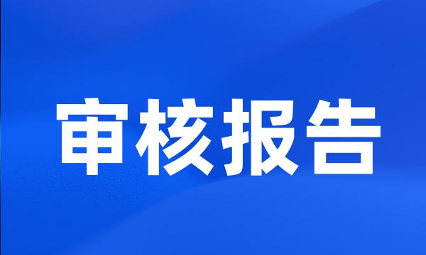 审核报告