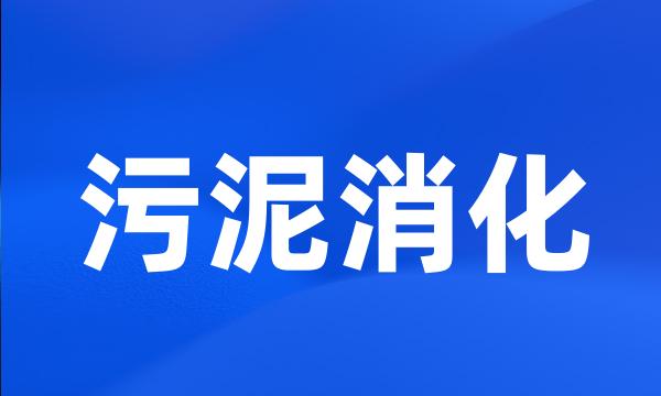 污泥消化