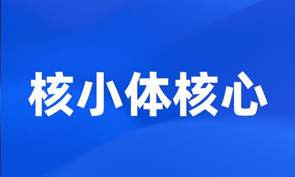 核小体核心