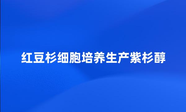 红豆杉细胞培养生产紫杉醇