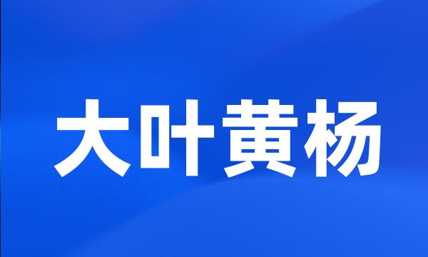 大叶黄杨