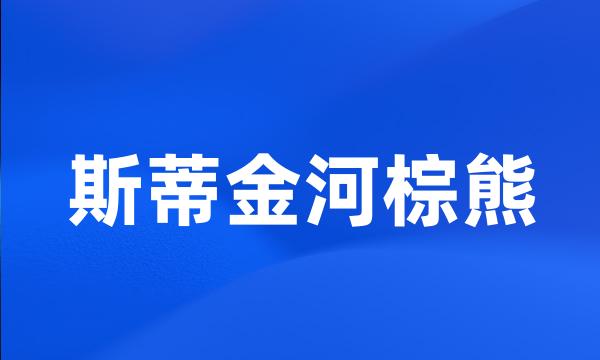 斯蒂金河棕熊