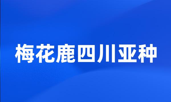 梅花鹿四川亚种