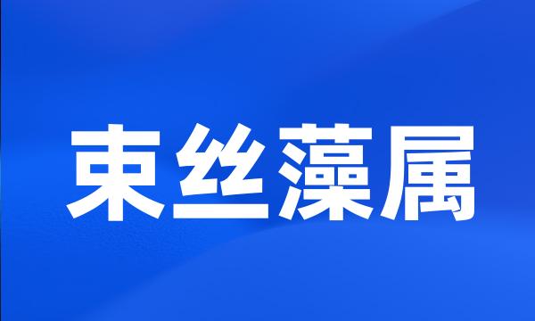 束丝藻属