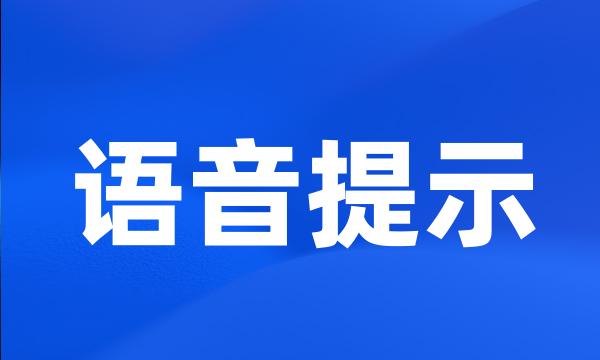 语音提示