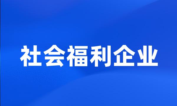 社会福利企业