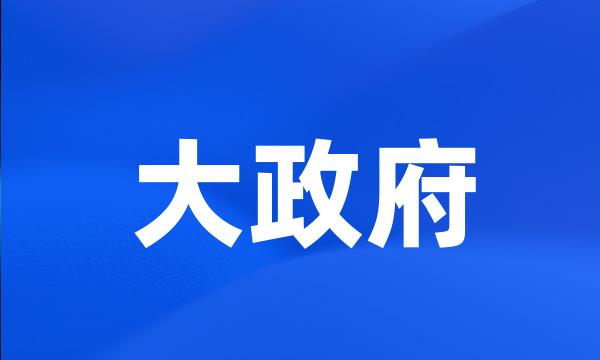 大政府