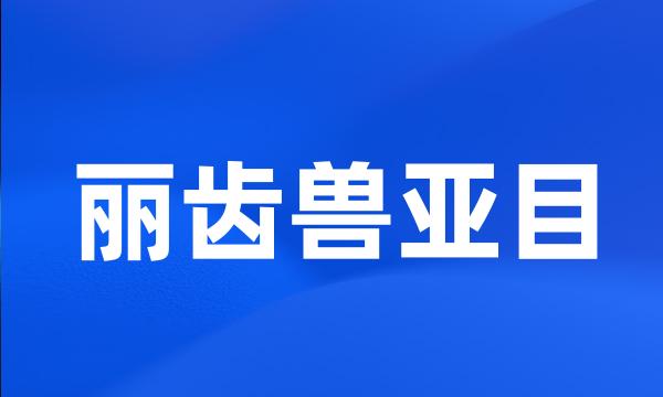 丽齿兽亚目