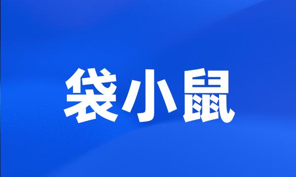 袋小鼠