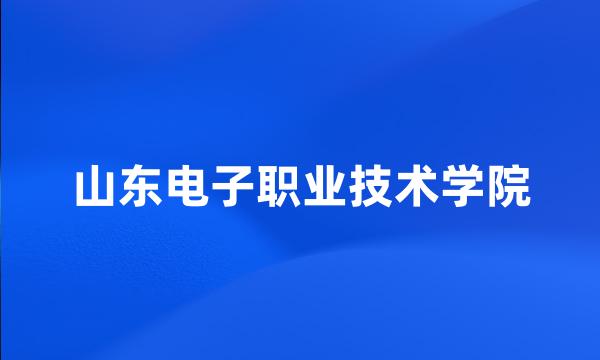 山东电子职业技术学院