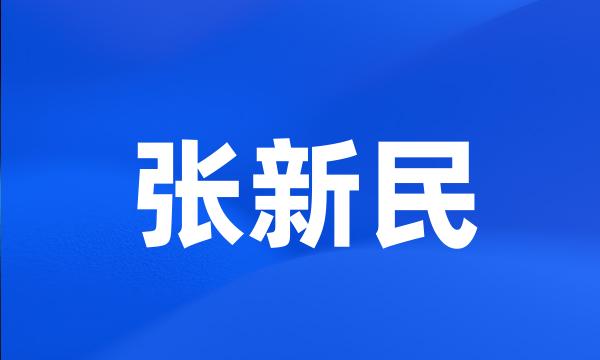 张新民