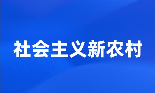 社会主义新农村