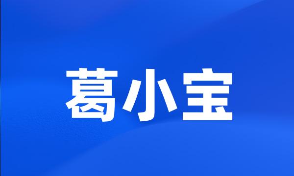 葛小宝