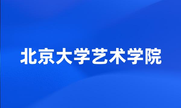 北京大学艺术学院