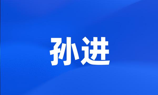 孙进