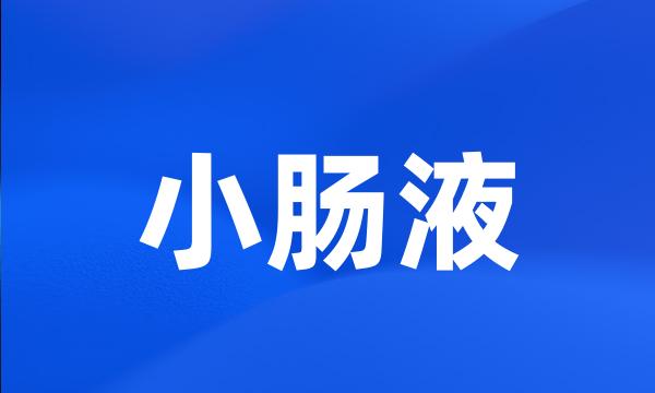 小肠液