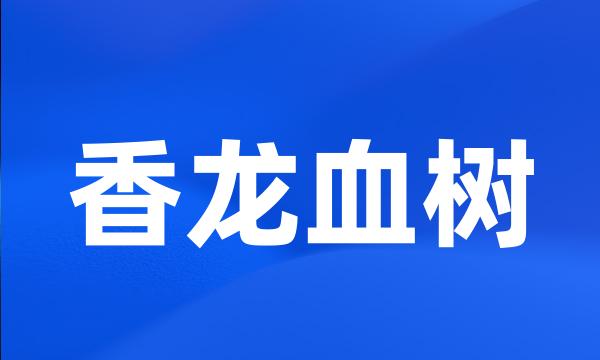 香龙血树