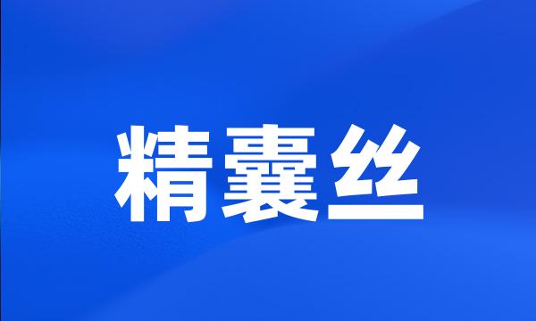 精囊丝