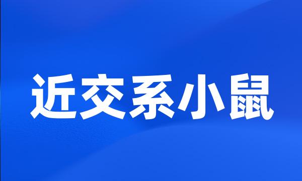 近交系小鼠