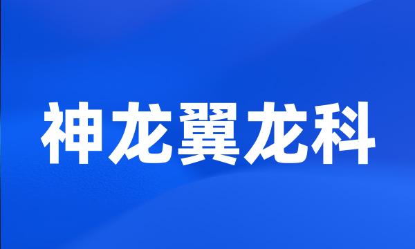 神龙翼龙科