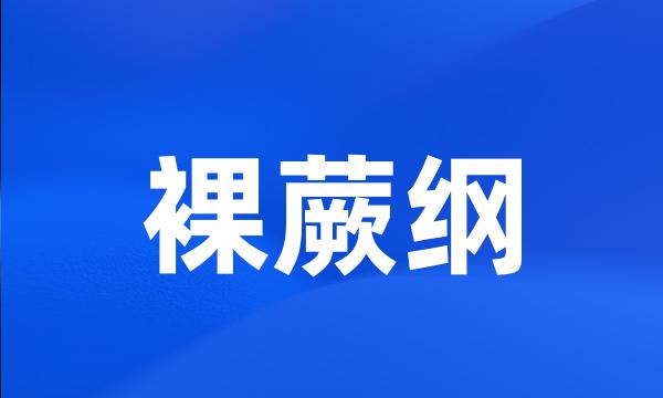 裸蕨纲