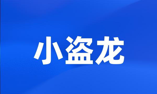 小盗龙