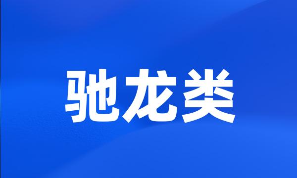 驰龙类