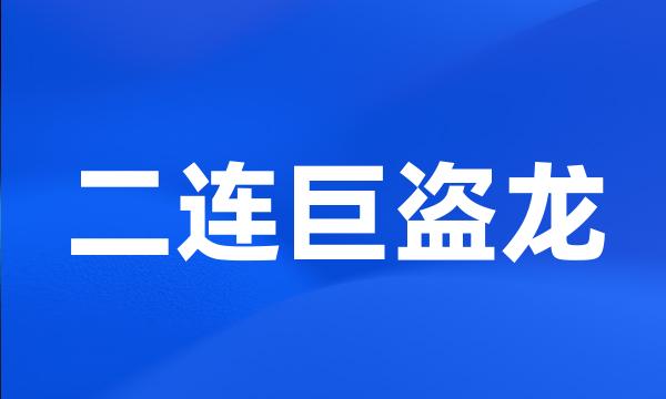 二连巨盗龙