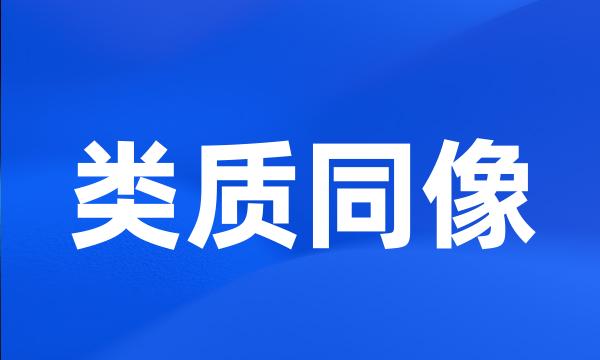 类质同像