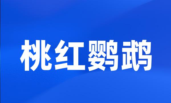 桃红鹦鹉